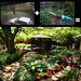 Nancy Woodruff Photo 3