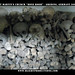 Martin Bone Photo 12