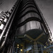Lloyd Rogers Photo 11