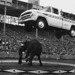John Swenson Photo 33