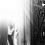 Michelle Farley Photo 19