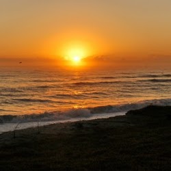 Kyle Mcclure Photo 22