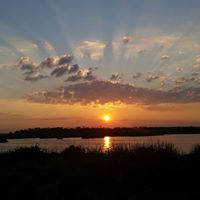 Linda Steelman Photo 16