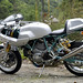 Paul Smart Photo 40