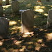 John Metz Photo 19