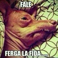 Pedro Capote Photo 14