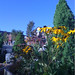 Joseph Michaelis Photo 12
