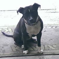 Mark Burroughs Photo 31