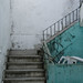 Juan Arenas Photo 17