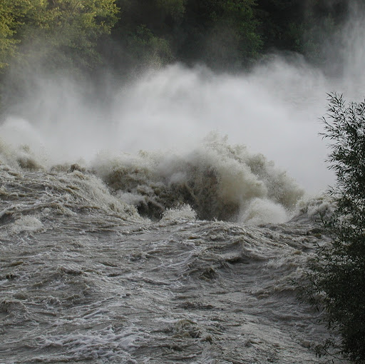 Terry Connors Photo 33
