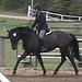 Bonne Brown Photo 9