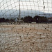 Kelly Grau Photo 8