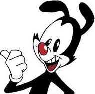 Yakko Warner Photo 11