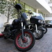 Robert Rossi Photo 40