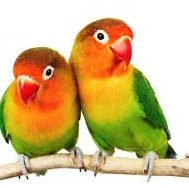 Jay Mehta Photo 35