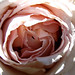 Betty Whiting Photo 29