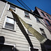 Anthony Buck Photo 13