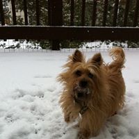 Debra Sharrow Photo 4