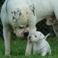 Jennifer Blevins Photo 21