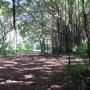 Carol Shepard Photo 30