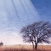 Art Ray Photo 23