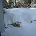 Donna Snow Photo 37