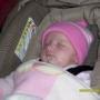 Joann Cook Photo 26