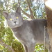 Dwayne Grey Photo 5