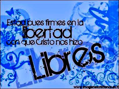 Marcos Gomez Photo 4