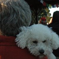 Christine Beveridge Photo 2