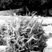 Lindsay Root Photo 17
