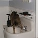Martha Sink Photo 10