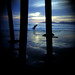 Diana Anglin Photo 6