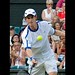 Andy Perry Photo 28