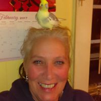 Dianne Harrell Photo 12