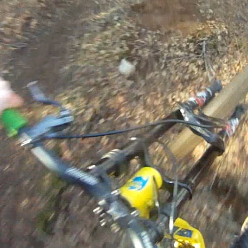 Matt Temple Photo 9