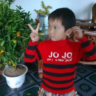 Long Trinh Photo 35