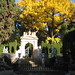 Michael Valencia Photo 12