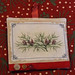 Anita Phillips Photo 16