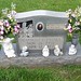 Debbie Prince Photo 36