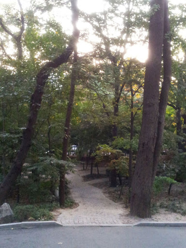 David Forest Photo 6