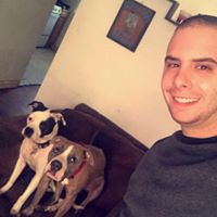 James Palmieri Photo 18