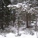 Michelle Estes Photo 19