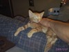Kimberly Curtis Photo 21