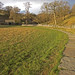 Janet Fields Photo 20