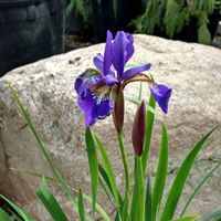 Jill Arnett Photo 7