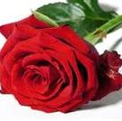 Ximena Pizarro Photo 3