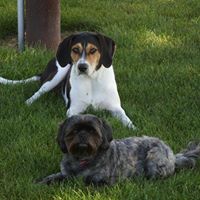 Diane Gauthier Photo 39