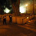 Sandra Firman Photo 7