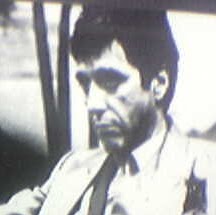 Michael Zito Photo 47